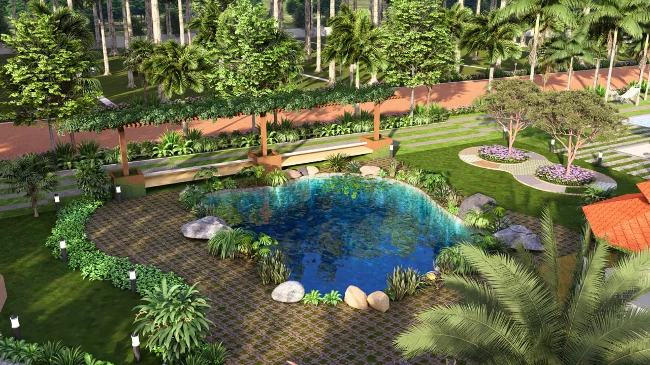 3D design image: a pond edged with rocks and plants, with paths and seating around it