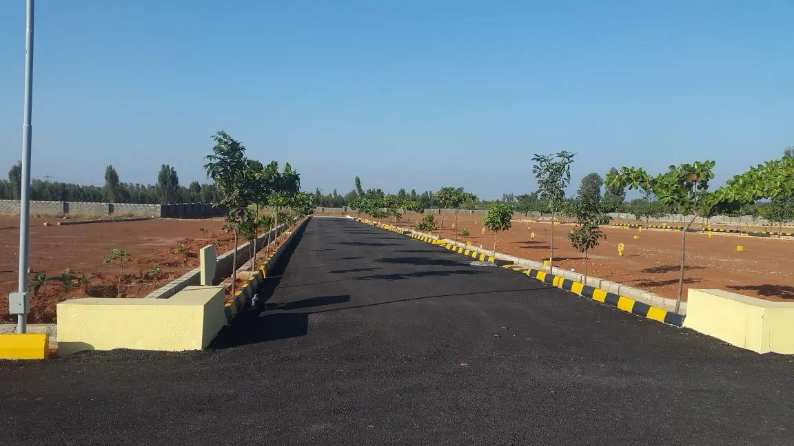 A finished asphalt road running straight between painted kerbs and young trees