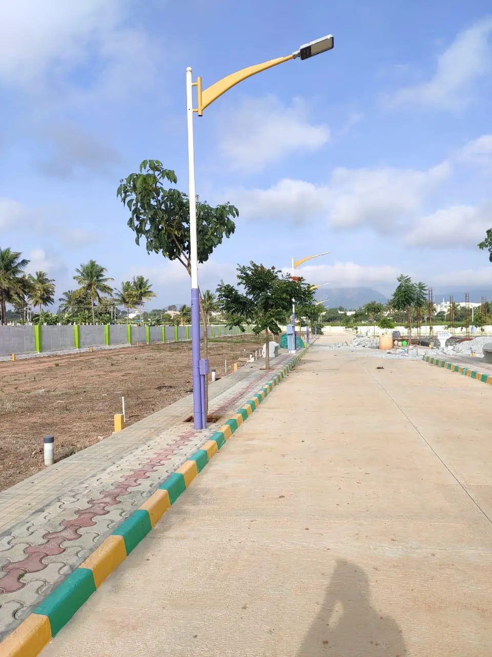 A street light on a paved footpath with a green and yellow kerb, a young tree and a concrete road beside it